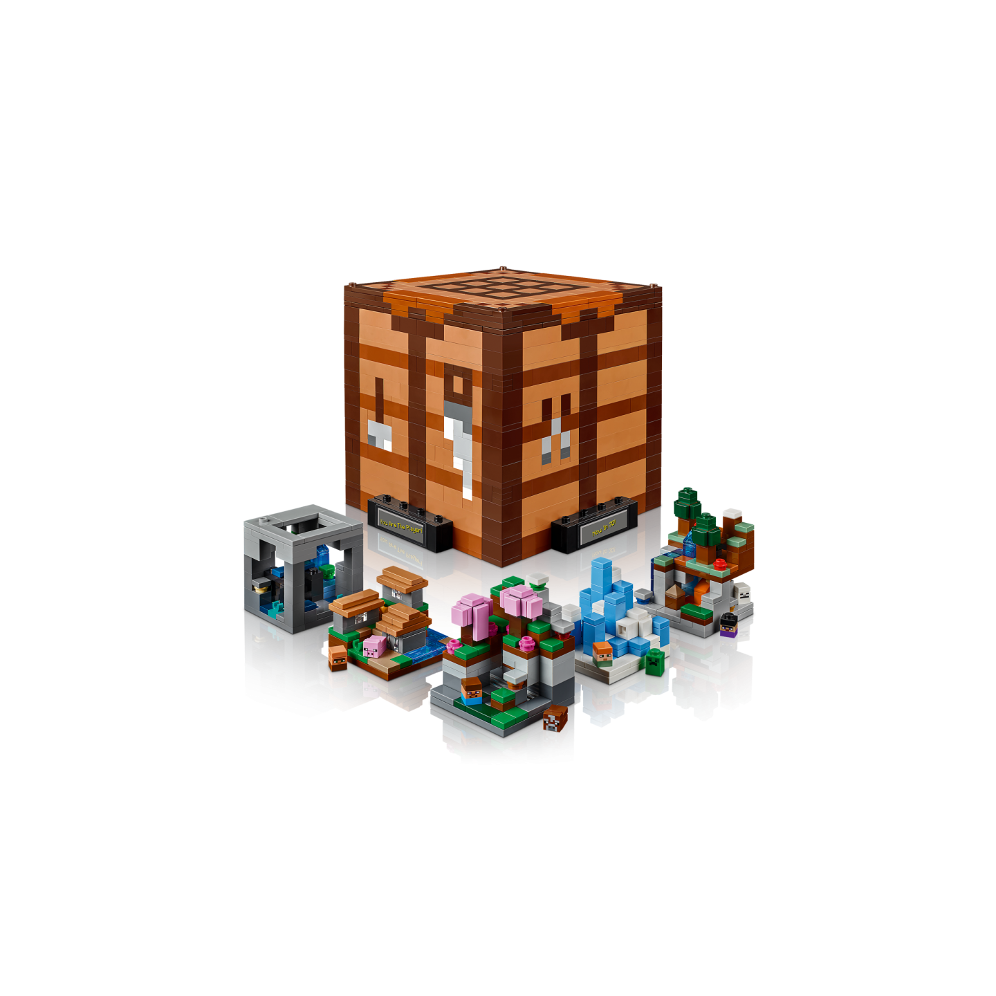 LEGO Minecraft 21265 - L&rsquo;&eacute;tabli